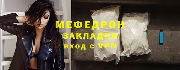 молекула духа Богданович