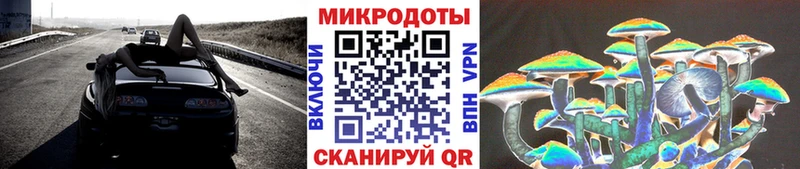 Псилоцибиновые грибы Psilocybe  Купить где  Баймак 